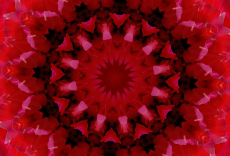 ♥ Rose Kaleidoscope ♥ - abstract, black, red, mind teaser, Kaleidoscope, texture