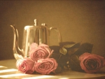 still life with roses