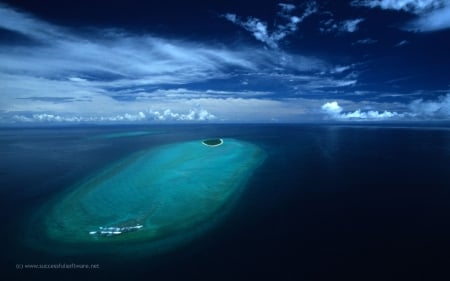 Great Barrier Reef - barrier reef, australia reef, australia, great barrier reef