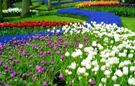 Keukenhof gardens