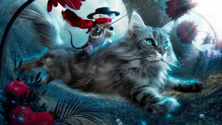 Mouse Rider - mouse, cat, zorro, funny