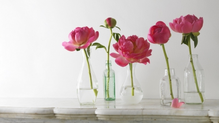 Pink - flowers, nature, pink, bottles