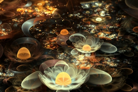 ABSTRACT LIL WHITE FLOWERS - flowers, yellow, digital art, hd, textures, light, orange, 3d, abstracts, sparkles, circles