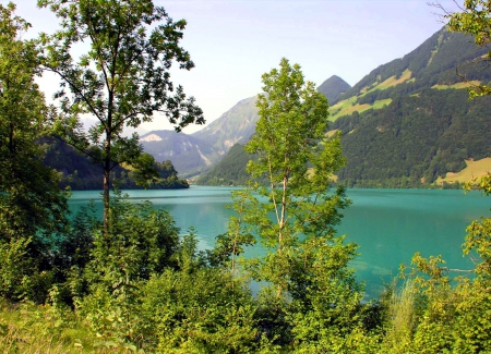 Emerald lake - nice, lakeshore, lake, mountain, trees, greenery, summer, shore, lovely, nature, pretty, emerald, beautiful, grass