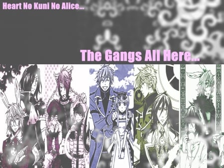 The Gangs All Here - cheshire cat, anime, march hare, alice in wonderland, white rabbit, friends