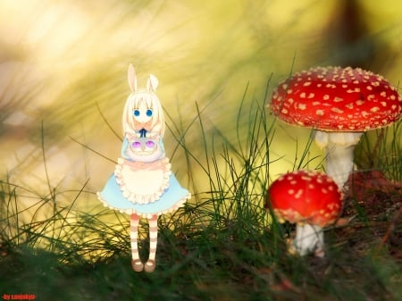 Oh Dear!! - cheshire cat, fantasy, anime, mushrooms, alice in wonderland, grass, bunny ears