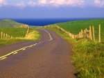 road among pastures down to the sea