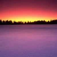 Canada Birds Hill Provincial Park