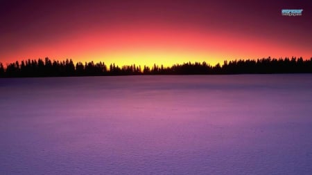 Canada Birds Hill Provincial Park