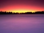 Canada Birds Hill Provincial Park