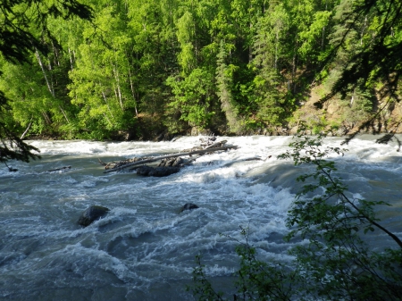 Eagle River, Alaska - trees, alaska, water, rocks, nature, flowing, forest, river, green