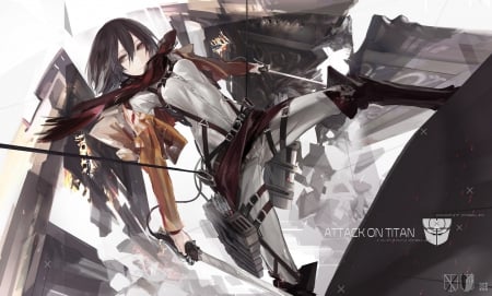 Anime - red, swords, Anime, mikasa, shingeki no kyojin