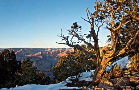 In the Evening - trees, national park, snow, winter, sunset, landscapes, cliffs