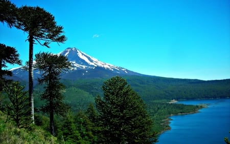 Blue Scenery - trees, landscape, mountain, chile, lakes, nature, forest, snow, blue, scenery, green