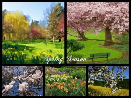 â™¥ Spring Season â™¥ - collage, spring, nature, season