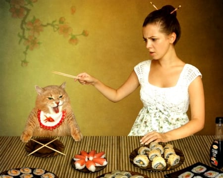 I'm hungry - woman, chop stick, food, table, sushi, cat, animals