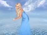 Blue angel in heaven