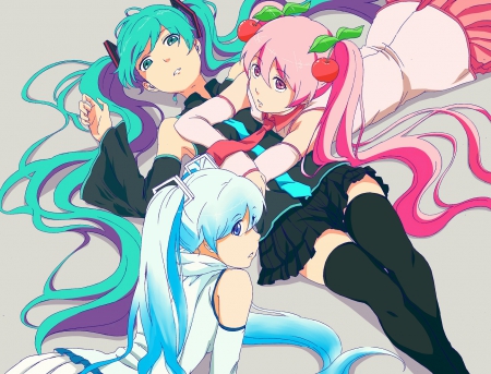 Hatsune, Yuki & Sakura - hatsune miku, colorful, long hair, sakura miku, ponytails, yuki miku, vocaloid, anime, sisters