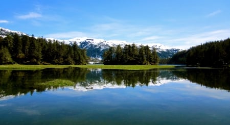 Lake in Alaska - trees, water, alaska, forest, reflection, mountain, nature, lake, sky