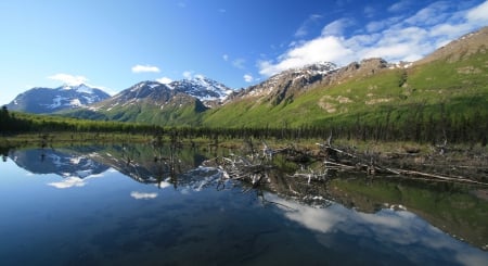 Lake in Alaska - clouds, trees, water, blue, alaska, mountain, nature, green, lake, sky