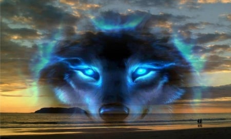 blue wolf - blueeyes, beach, people, blue wolf, walking, sunset, sea