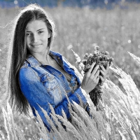 Model in Field