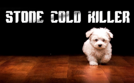 Stone Cold Killer Puppy - Puppy, Stone, Cold, Killer