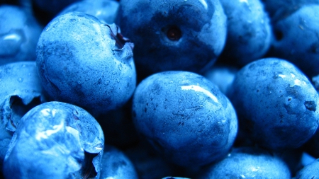 Blueberries - food, blueberries, blue, fruit