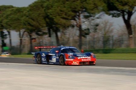 maserati - maserati, fun, car, cool