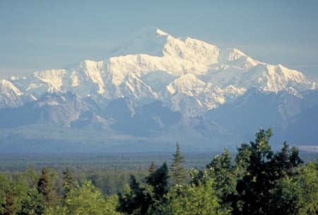 Denali Mountain, Denali National Park, Alaska - denali, sky, trees, mountain, alaska, park, national, white, nature, forest, snow