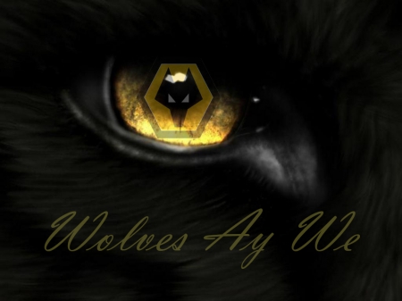 Wolves Ay We - wolverhampton wanderers, wwfc, wolverhampton, wolf, wolves, england, football, fc, wanderers, screensaver, soccer, wallpaper