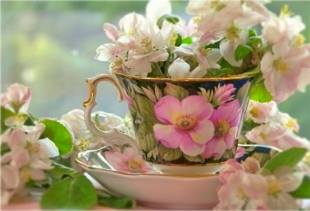 just magical - flowers, tea, cup, beautiful