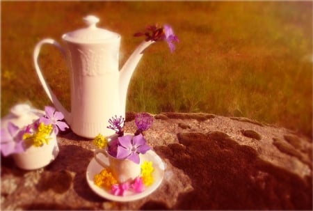 wonderful day - flowers, tea, cup, sun