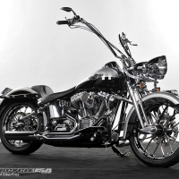 Mod Harley