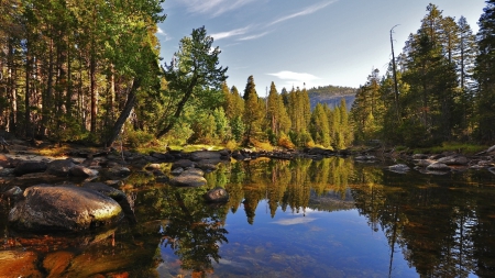 Calm - reflections, trees, hills, water, green, landscapes, forest