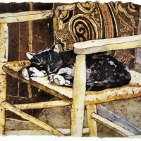 Napping Cat F2