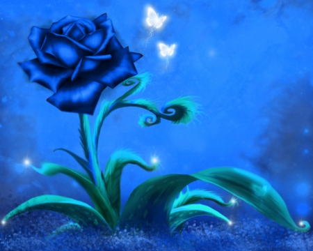 blue rose wallpapers for desktop