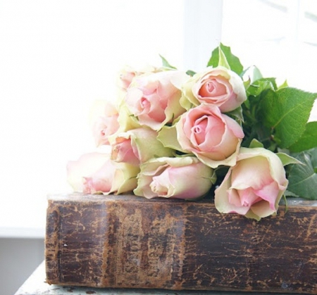 still life - flowers, still life, book, roses