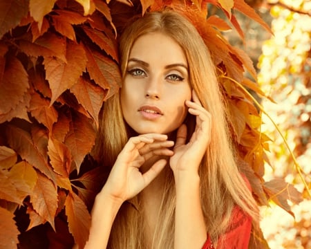 Autumn beauty - woman, atumn, blond, model, face