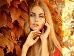 Autumn beauty