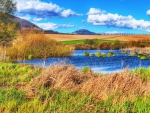 gorgeous autumn fields landscape hdr