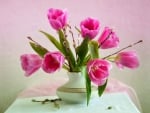 Pink  tulips