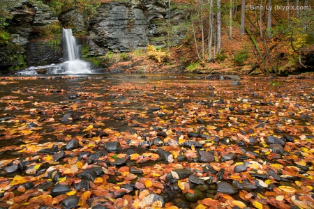 Delaware Water Gap Fall - scenic delaware, water gap fall, delaware water gap fall, delaware