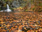 Delaware Water Gap Fall