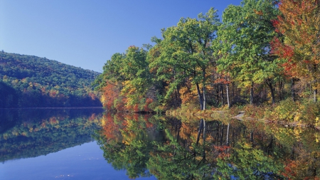 Hidden Lake Delaware - delaware, delaware lake, hidden lake delaware, hidden lake