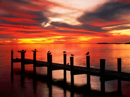 Florida Sunset - florida dock, florida sunset, florida landscape, florida, florida pier