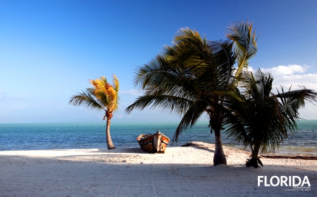 Florida Keys - florida, florida beaches, florida keys, florida palm trees