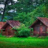 Wooden forest cabins