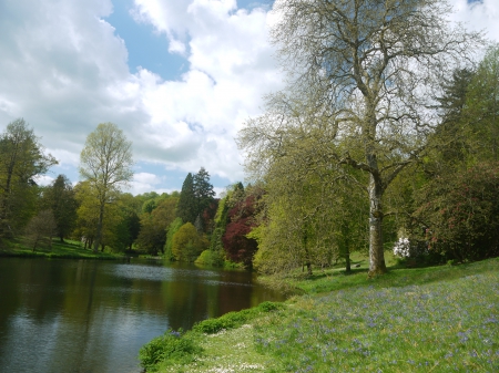 Lakeside Bluebells - Bluebells, Stourhead, spring, Lake