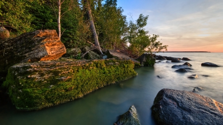 Moss - water, coast, rock, landscape, scene, sea, HD, sunrise, ocean, forest, reflection, rocky, sunset, nature, wallpaper